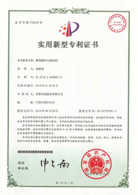 Patent_CN